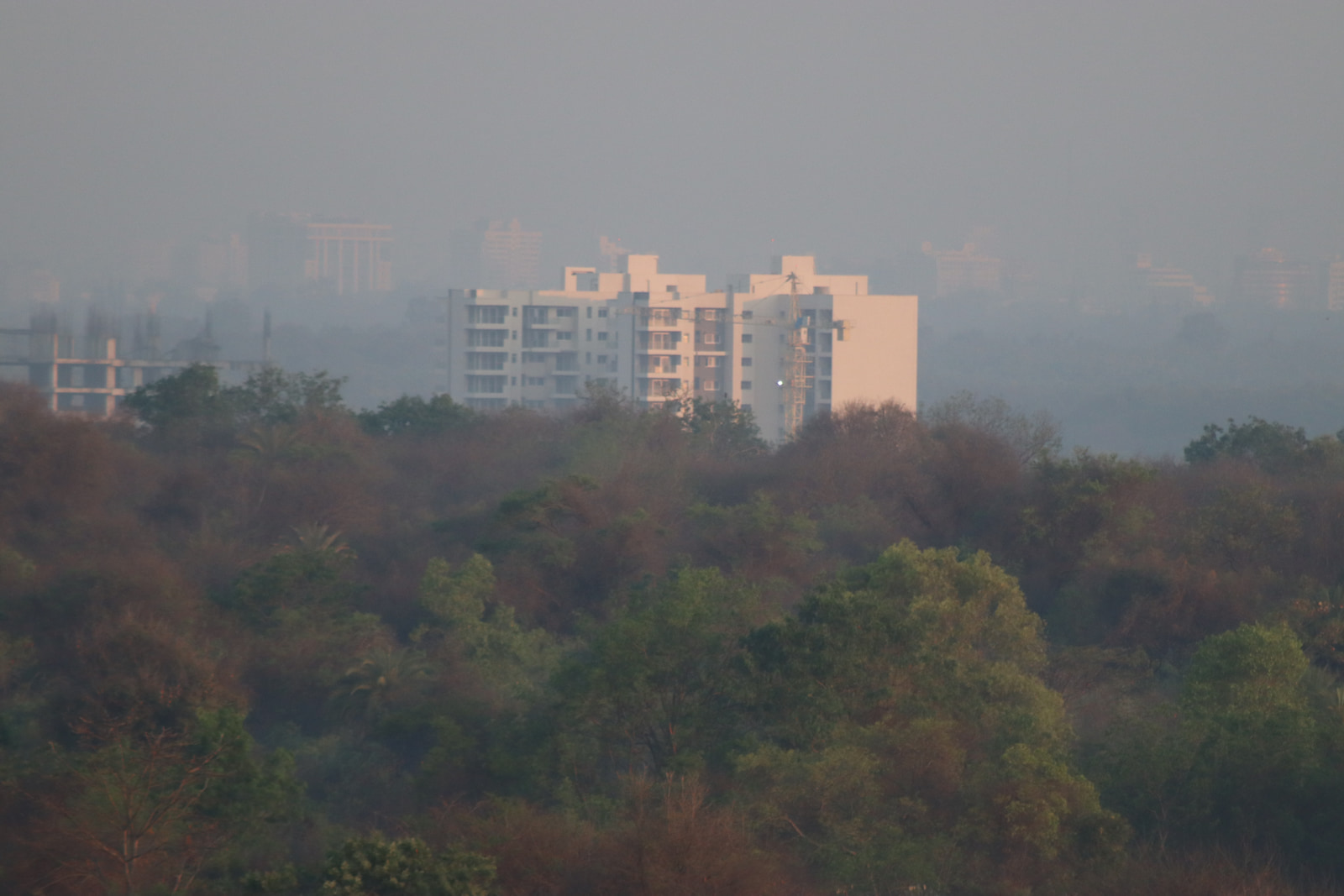 A hazy cityscape with residential buildings partially obscured by fog or smoke, viewed from a forested area in the foreground.