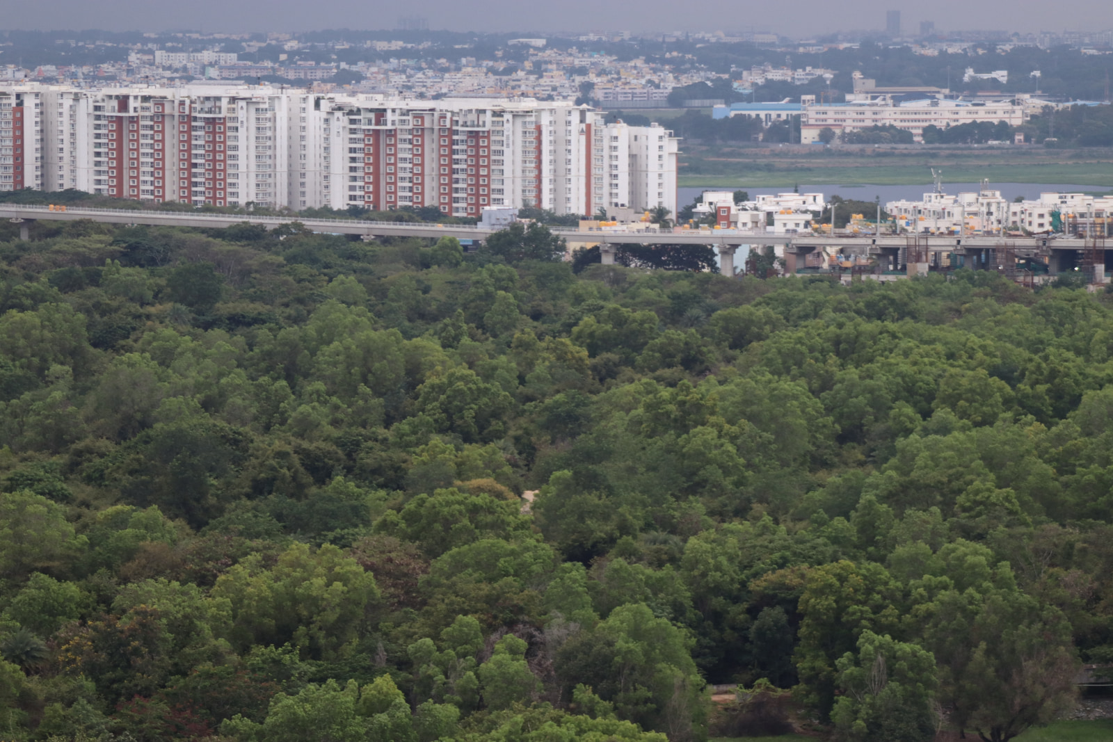 A wide aerial view shows a dense forest covering the lower foreground, with a multi-lane bridge crossing a body of water in the middle ground, and a sprawling urban area with numerous high-rise buildings in the background under an overcast sky.
